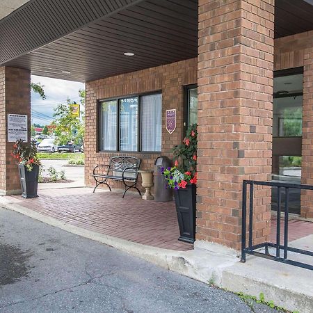 Comfort Inn Alma Exterior foto