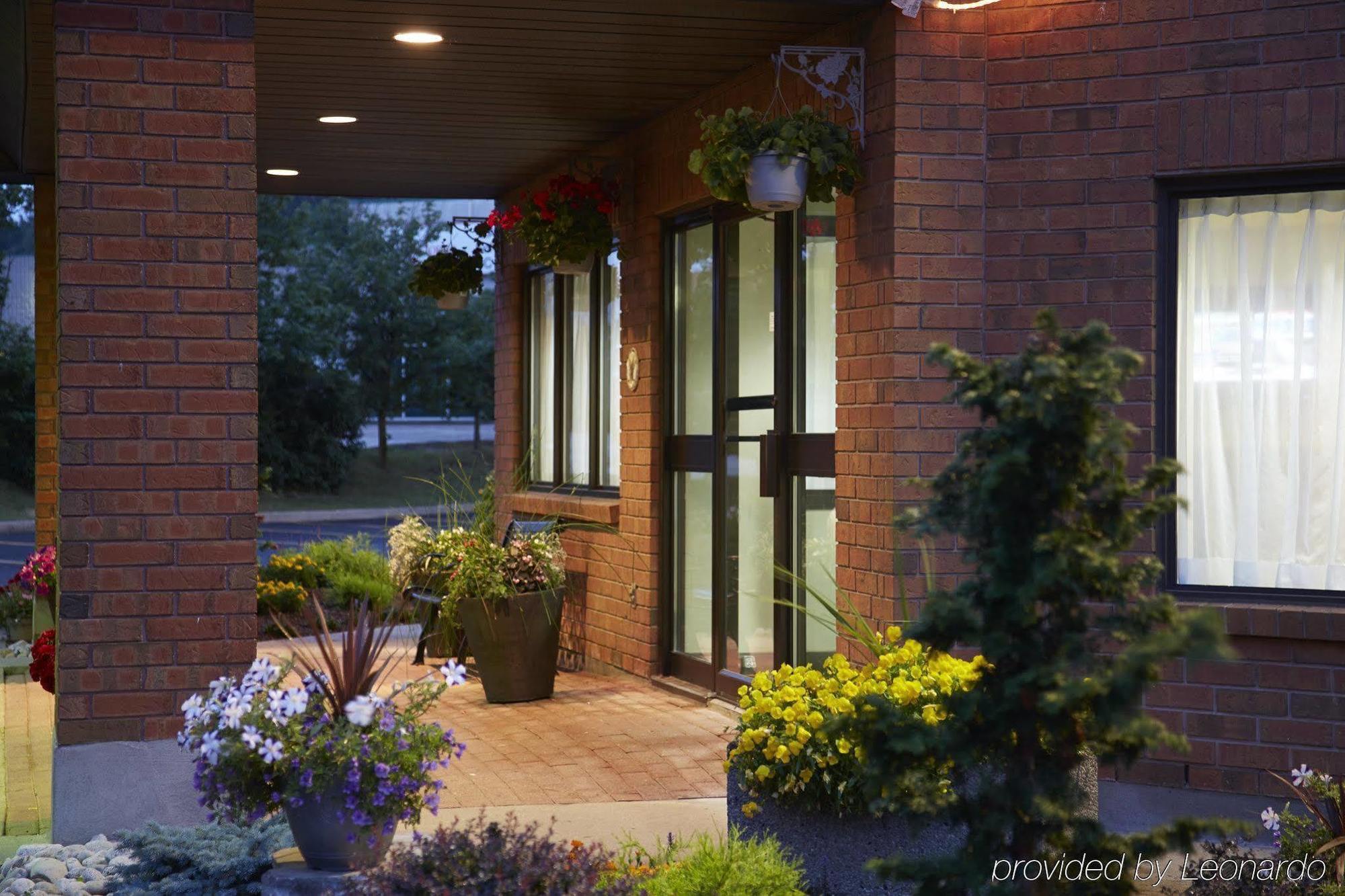 Comfort Inn Alma Exterior foto